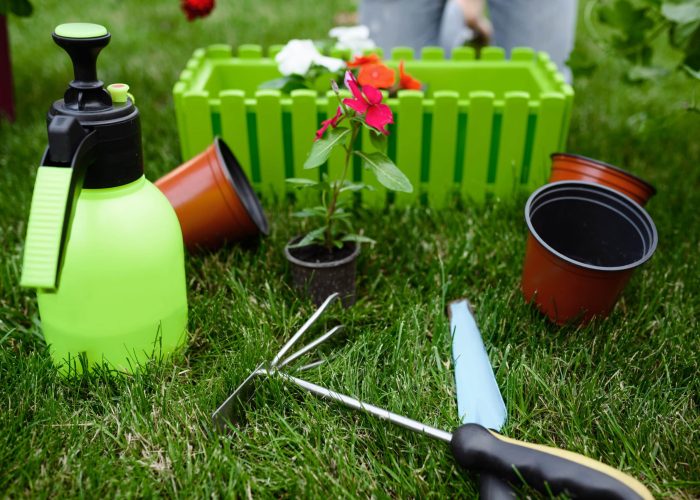 Gardening tools for plants care, closeup view, nobody. Gardener or florist equipment. Watering spray, hoe and pruners on the grass near the flower bed and flowerpots, summer hobby, garden