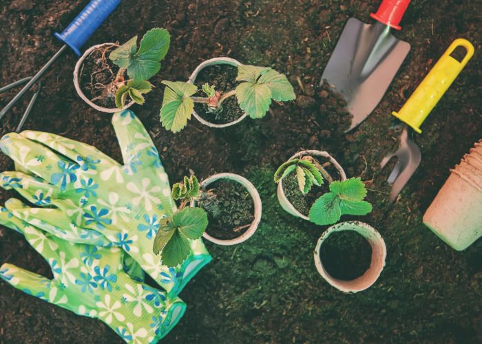 Land and gardening supplies. Garden. Selective focus nature